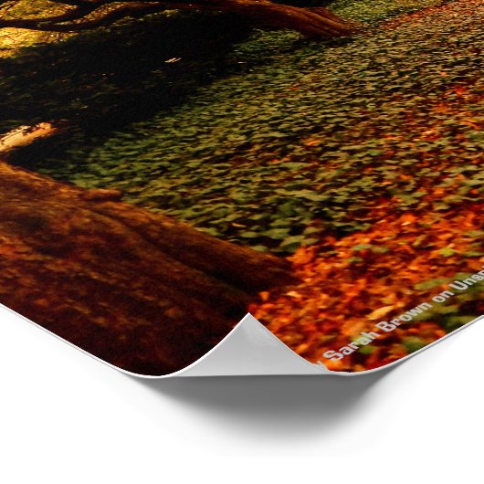 Park, NYC Central Park, Poster (Ecke)