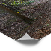 Park Path Foto Poster (Ecke)