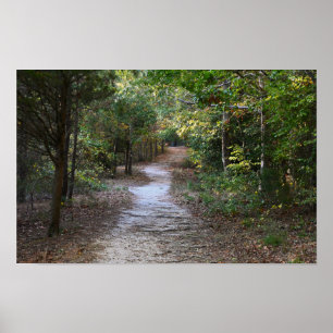 Park Path Foto Poster