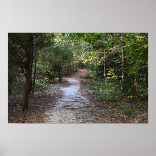Park Path Foto Poster (Vorne)