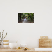 Park Path Foto Poster (Küche)