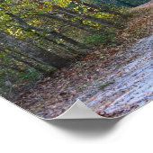Park Path Foto Poster (Ecke)