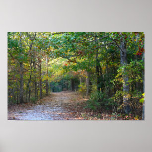 Park Path Foto Poster
