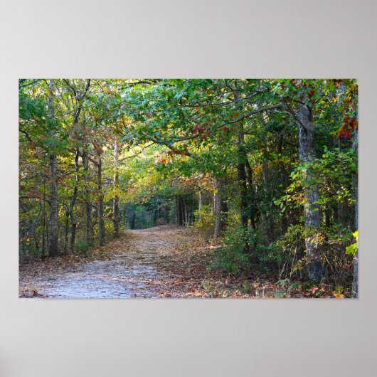 Park Path Foto Poster (Vorne)