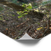 Park Path Foto Poster (Ecke)