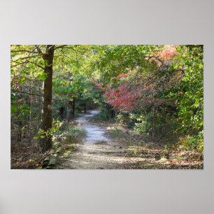 Park Path Foto Poster