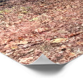 Park Path Poster (Ecke)