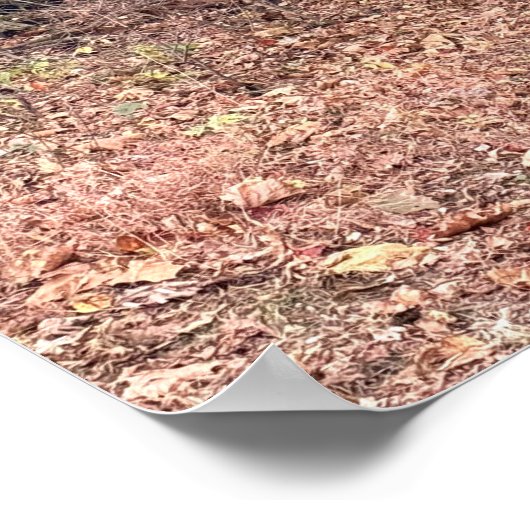 Park Path Poster (Ecke)