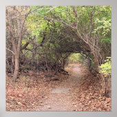 Park Path Poster (Vorne)