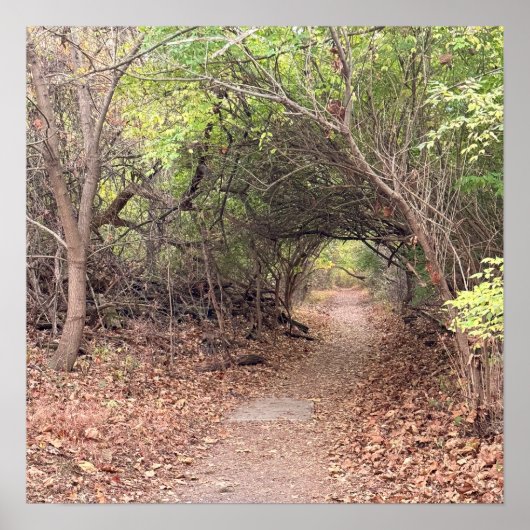 Park Path Poster (Vorne)