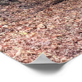 Park Path Poster (Ecke)
