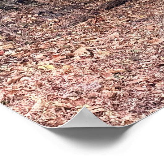 Park Path Poster (Ecke)