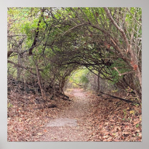 Park Path Poster