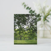 Park Postcard Postkarte (Stehend Vorderseite)