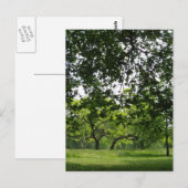 Park Postcard Postkarte (Vorne/Hinten)