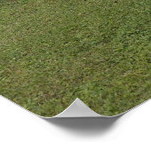 Park Poster (Ecke)