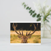 Park Postkarte (Stehend Vorderseite)