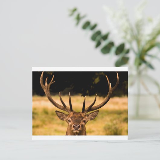 Park Postkarte (Stehend Vorderseite)