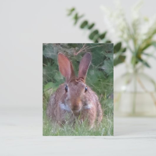 Park Rabbit Nah Up Postkarte (Stehend Vorderseite)
