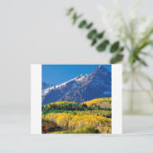 Park Sneffels Uncompahgre Forest Colorado Postkarte (Stehend Vorderseite)