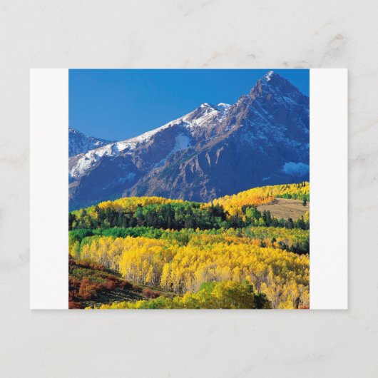 Park Sneffels Uncompahgre Forest Colorado Postkarte (Vorderseite)