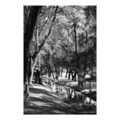 Park Stream B&W Fotografie Print (Vorne)