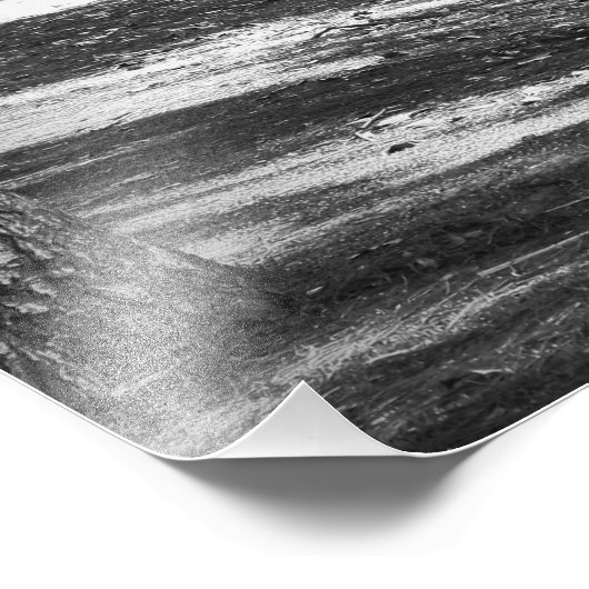 Park Stream B&W Fotografie Print (Ecke)