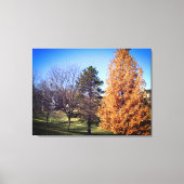 Park Stretched Canvas Print Leinwanddruck (Vorderseite)