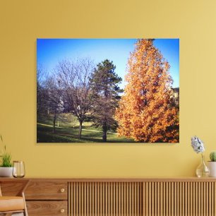 Park Stretched Canvas Print Leinwanddruck