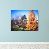 Park Stretched Canvas Print Leinwanddruck (Insitu (Holzboden))