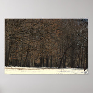 Park Trees and Snow Poster