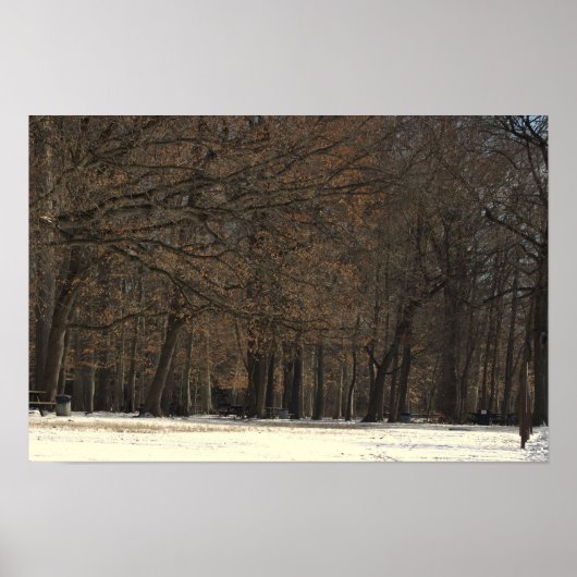Park Trees and Snow Poster (Vorne)