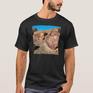 Park-versteinerter Wald T-Shirt