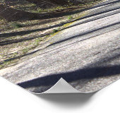 Park Walking Bridge Poster (Ecke)