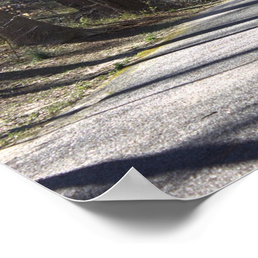 Park Walking Bridge Poster (Ecke)