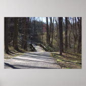 Park Walking Bridge Poster (Vorne)