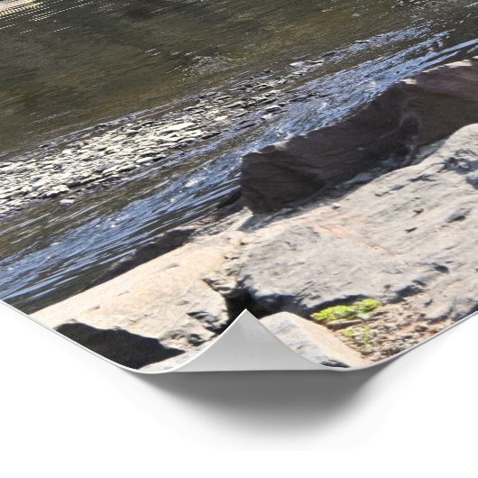 Park Waterscape Poster (Ecke)