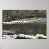 Park Waterscape Poster (Vorne)