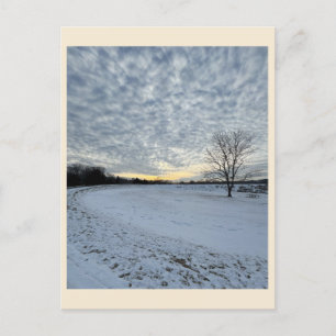 Park Winter Sunset Postcard Postkarte