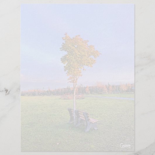 Parkbank - 8,5" x 11" Stationierblech (Vorderseite)