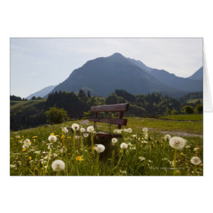 Parkbank auf dem Land