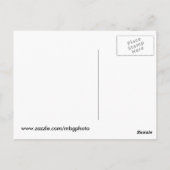 Parke Landkreis Indiana Postkarte (Rückseite)