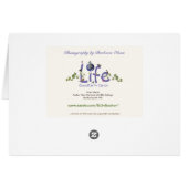 Parker River Wildlife Refugium: Insel Plum (Rückseite Horizontal)