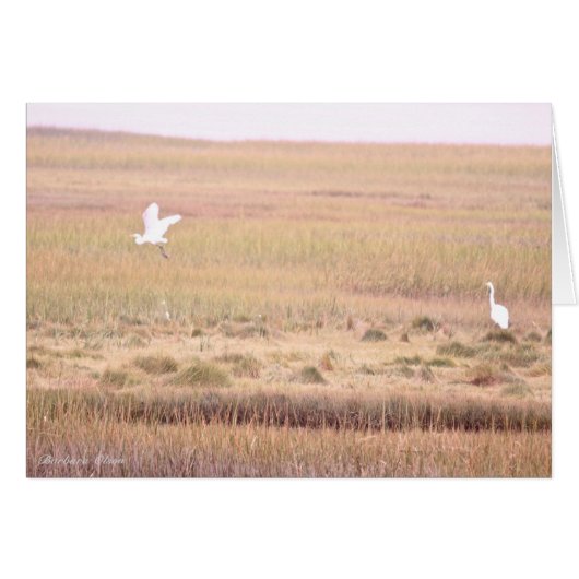 Parker River Wildlife Refugium: Insel Plum (Vorderseite (Horizontal))