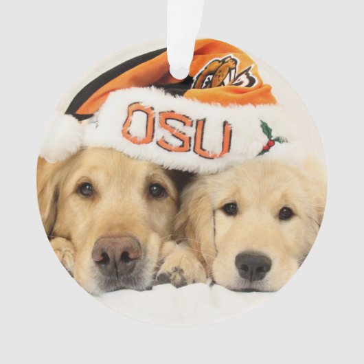 ParkerPup 2014-15 u. Reser Verzierung Ornament (Vorderseite)