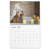 ParkerPup 2017 u. Reser Kalender (Feb 2026)