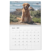 ParkerPup Kalender 2013 (Mär 2027)