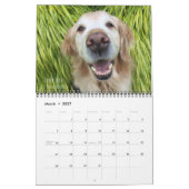 ParkerPup Kalender 2018 (Mär 2027)