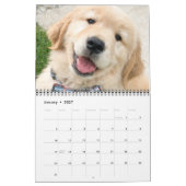 ParkerPup-Kalender 2022 Kalender (Jan 2027)