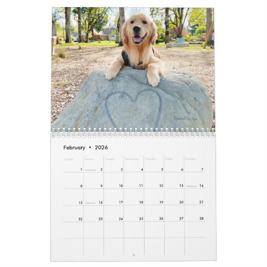 ParkerPup-Kalender 2023 Kalender (Feb 2026)